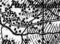 Exemplarische Darstellung der Dufour-Karte (alte Karte)